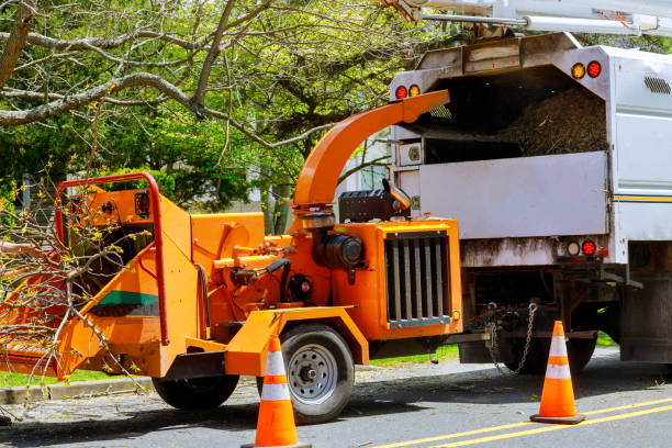 Marmaduke, AR Tree Service Company